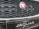 В Нижнем Новгороде представили Jaguar E-PACE   - фотография 13