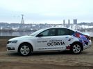 Новая Skoda Octavia 2017: Она еще и глазки строит! - фотография 62